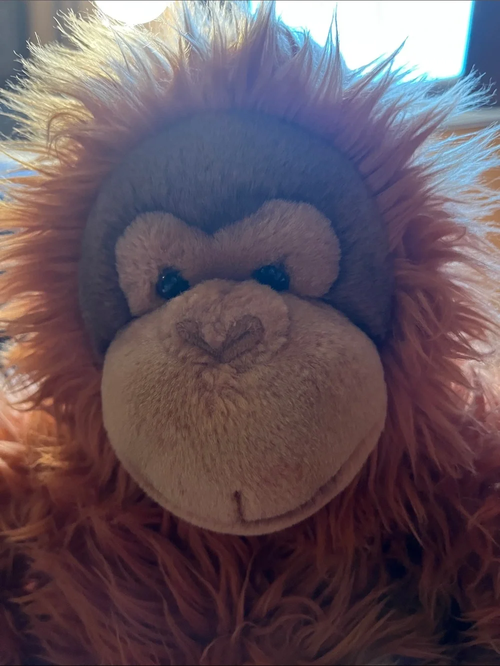 Plush Orangutan by GUND
